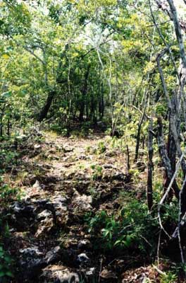 eden08.jpg
